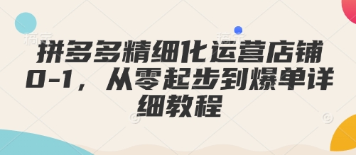 拼多多精细化运营店铺0-1，从零起步到爆单详细教程178轻创-专注分享网络创业落地实操课程 – 全网首发_高质量项目输出178轻创